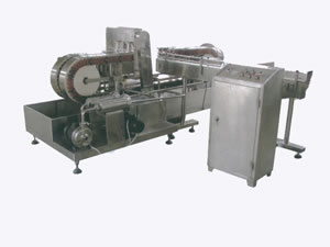 Lavadora de garrafas